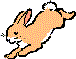 bunny.gif (2301 bytes)